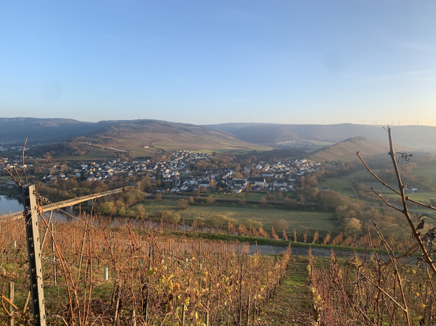 Eine malerische Aussicht auf das Rheintal von einem Hügel aus, mit grünem Laub, Häusern und einer Brücke über den Fluss unter einem blauen Himmel, mit sanften Hügeln im Hintergrund.