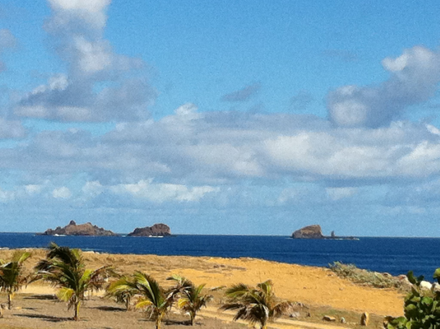 Eine Strandszene mit Palmen, grünem Gras und einem Gewässer im Hintergrund, unter einem blauen und weißen Himmel mit fernen Bergen.