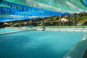 Kein Deutsch, kein Eintritt? Halles Schwimmbad rudert zurück