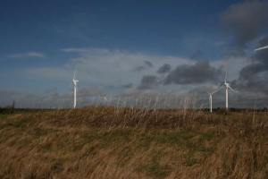 Ein Feld von Windkraftanlagen in einer grünen Fläche mit Bäumen im Hintergrund und Wolken am Himmel, mit Text, der auf einen Windpark in den Niederlanden hinweist.