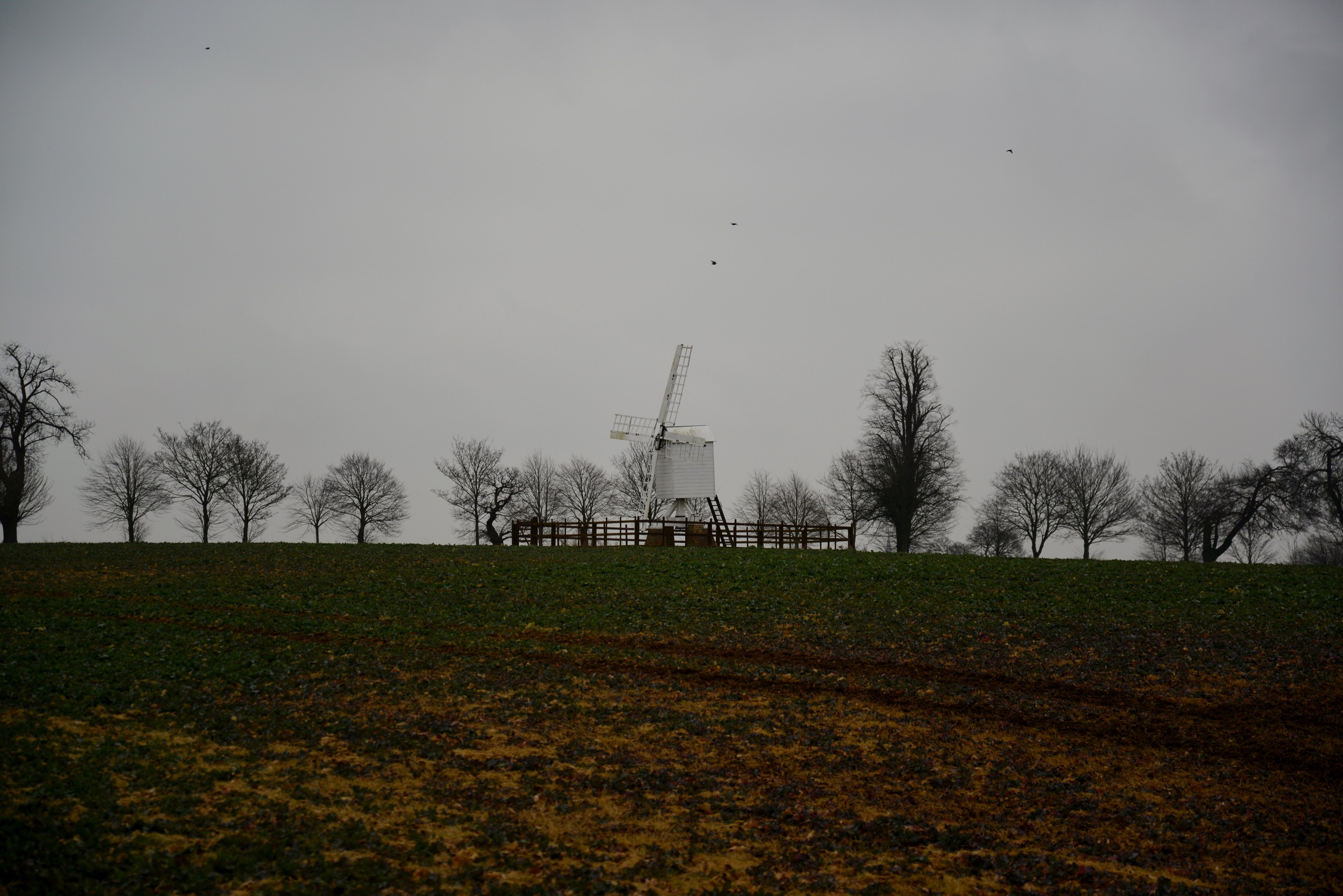 Windmühle auf einem eingezäunten Feld mit Bäumen, bewölktem Himmel und fliegenden Vögeln.