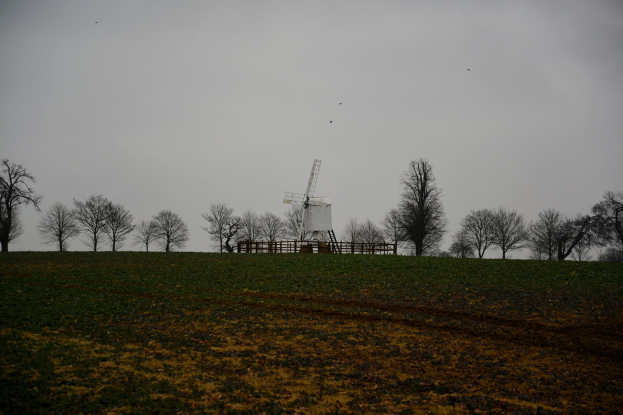 Windmühle auf einem eingezäunten Feld mit Bäumen, bewölktem Himmel und fliegenden Vögeln.