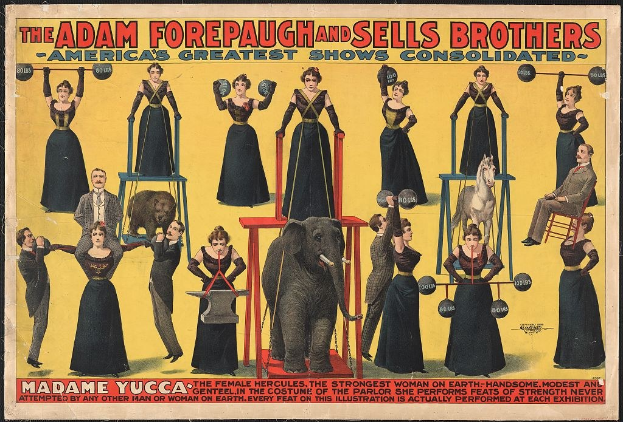 Plakat für Adam Forepaugh und Sells Brothers, Americas Greatest Shows Consolidated, mit Darstellern auf Hockern und einem Elefanten in der Mitte und Text.