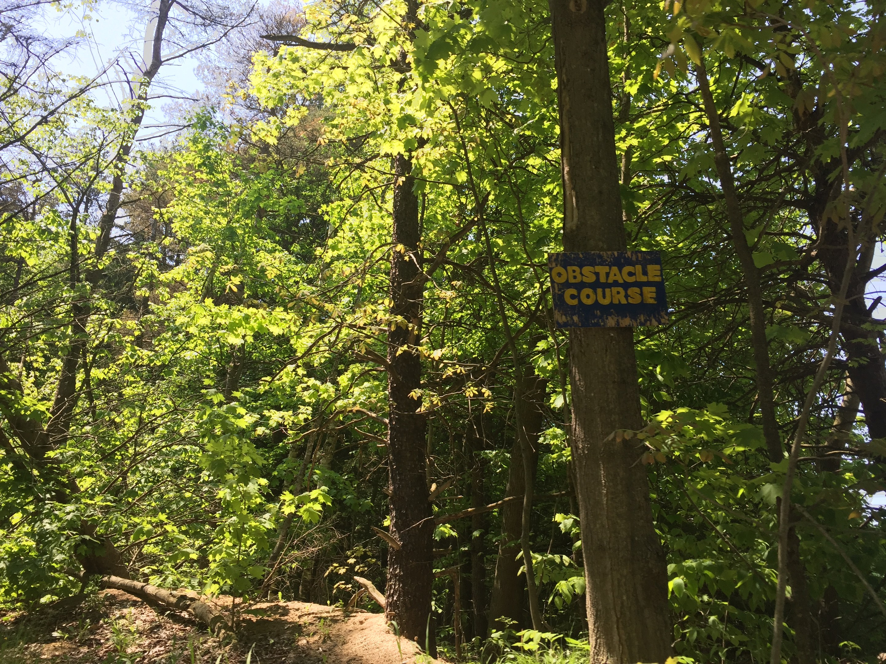 Ein Schotterweg in einem bewaldeten Gebiet, der von einem hölzernen Schild mit der Aufschrift "Hindernislauf" markiert ist, umgeben von Bäumen auf beiden Seiten und einem sichtbaren Himmel im Hintergrund.