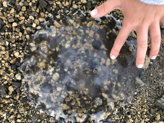 Die Hand eines Kindes, die aus einer Wasserlache auf einem steinigen Boden herausragt.