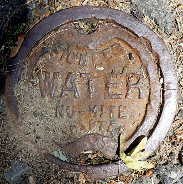 Abdeckplatte mit "Wasser" beschriftet auf dem Boden umgeben von trockenen Blättern und Gras.
