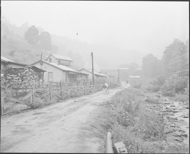Ein Schwarz-Weiß-Foto einer Schotterstraße mit einem Pferd darauf, umgeben von Pflanzen, Bäumen, Häusern, Pfählen, Drähten und einem Zaun, mit Hügeln und einem klaren Himmel im Hintergrund und Text am unteren Rand des Bildes.