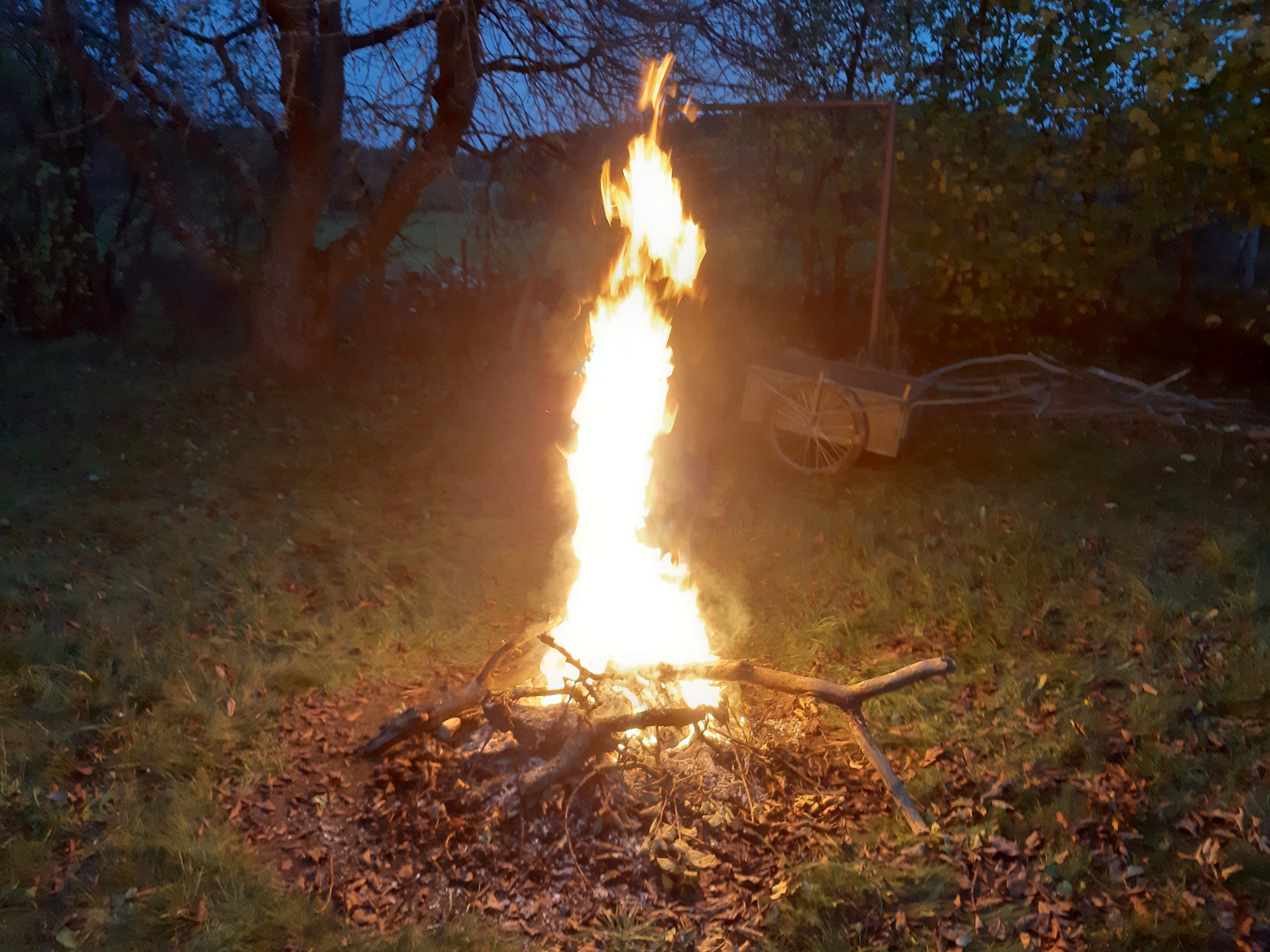 Feuer in einer nächtlichen Grasfläche, umgeben von trockenen Blättern und Stöcken, mit Bäumen und einem Karren im Hintergrund unter dem Himmel.