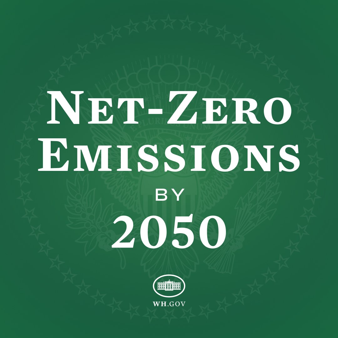 Weißer fetter Text auf einem grünen Hintergrund, der "netto-null-Emissionen bis 2050" lautet.