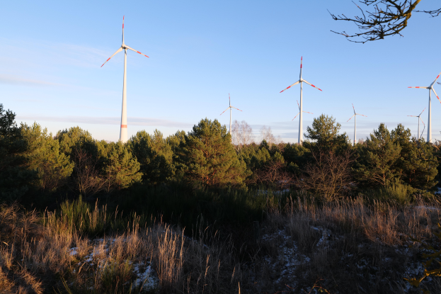 Ein Windturbinenfeld in einer verschneiten Landschaft, umgeben von Bäumen und Pflanzen, mit einem klaren Himmel im Hintergrund.