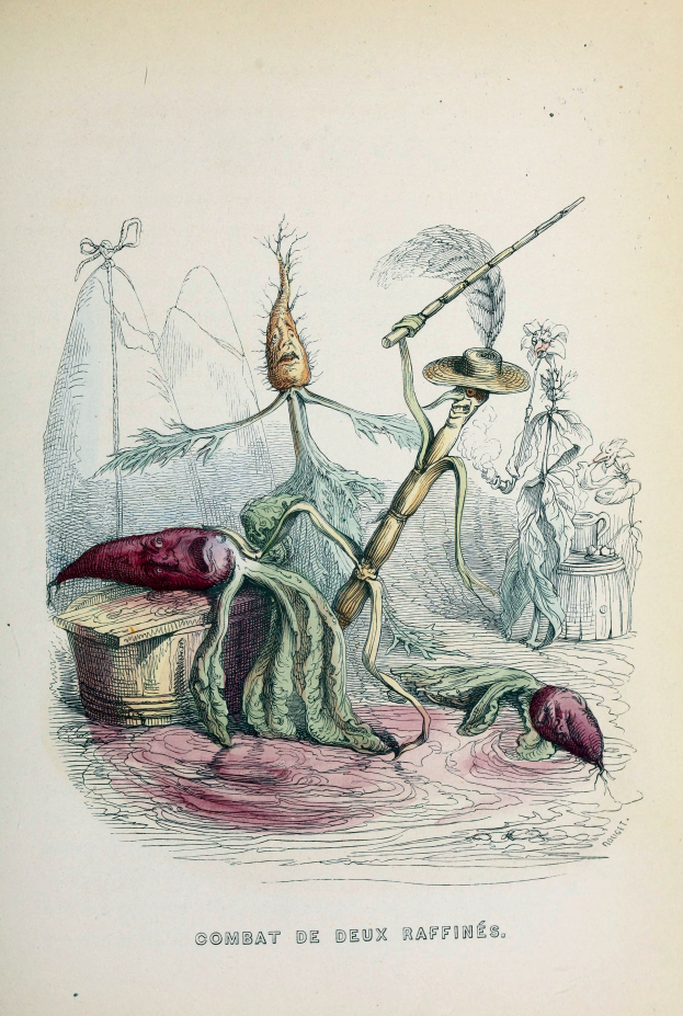 Ein Buchumschlag mit einem Mann in einem langen dunklen Mantel und Hut und einer Frau in einer Schürze und einem Kleid, beide in Kampfstellung mit entschlossener Miene, mit dem Text "Combat deux raffines".