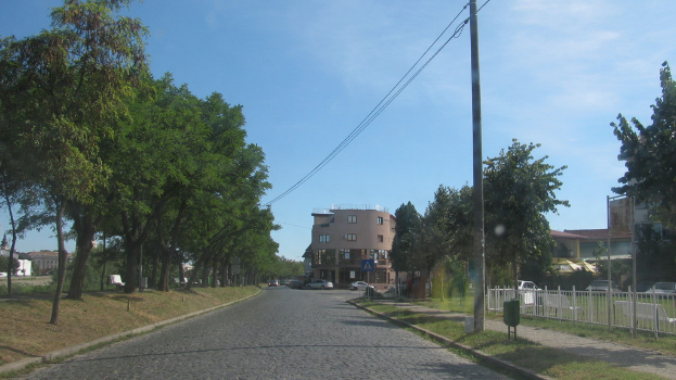 Eine belebte Straße mit verschiedenen Fahrzeugen, gesäumt von Gras, einem Zaun, Strommasten mit Drähten, Bäumen, Bänken und Gebäuden mit Fenstern unter einem hellblauen Himmel.