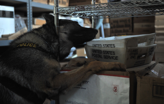 Ein schwarzer und brauner Polizeihund ruht auf einem Stapel Kisten in einem Lager, umgeben von Kartonagen auf Regalen.