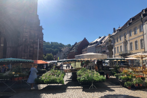 Ein lebhafter Markt im alten Stadtzentrum von Heidelberg mit Menschen, die zwischen Tischen mit Blumentöpfen und Schirmen umhergehen und sitzen, vor einem Hintergrund aus Gebäuden, Bäumen und einem klaren blauen Himmel.
