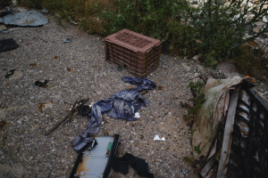 Ein Haufen Müll, einschließlich einer Plastikbox und Kleidung, liegt neben einem Zaun auf der Straße, mit Pflanzen und Gras im Hintergrund.