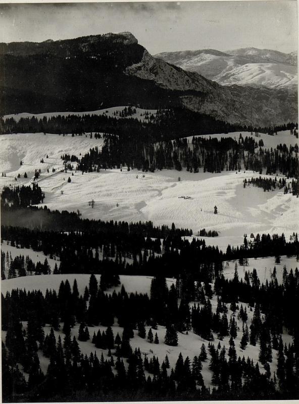 Schwarzes und weißes Foto einer schneebedeckten Gebirgskette mit Bäumen im Vordergrund und Himmel im Hintergrund, beschriftet mit "Sierra Nevada Ski Resort, California, USA" unten.