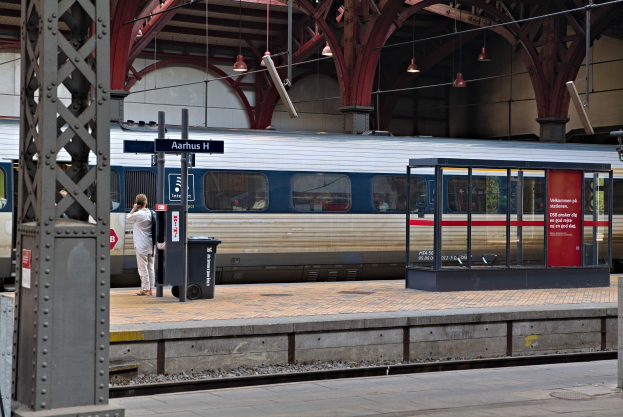 Ein Zug fährt auf einem Bahnsteig ein, neben dem eine Person steht, mit einem Müllcontainer, Pfölen, Informationsschildern und Deckenleuchten.