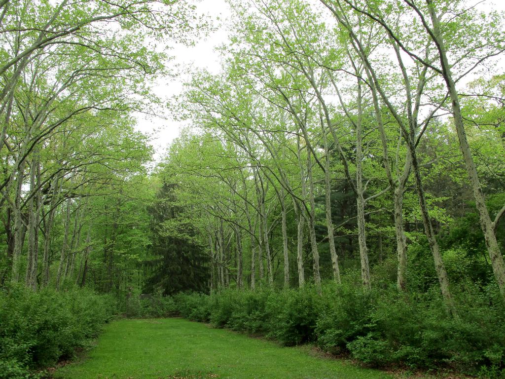 Grünland umgibt den Bereich mit Grasland am unteren Bildrand.